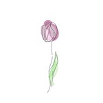Shops flower, tulip, flower wallpaper, petals, flower background, drawing, sheet, painting, green, beautiful flowers, garden, nature